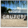 Excursii grupuri
